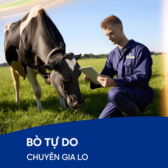 Sữa êm bụng Friso Pro giúp bé tiêu hóa tốt, hấp thu nhanh